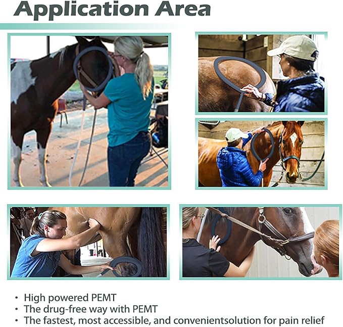 PEMF Therapy Device for Horses - Magnetic Pulse Machine w/X-Wing, Single & Butterfly Loop Attachments - Lameness Relief, Colic Care & Pain Recovery