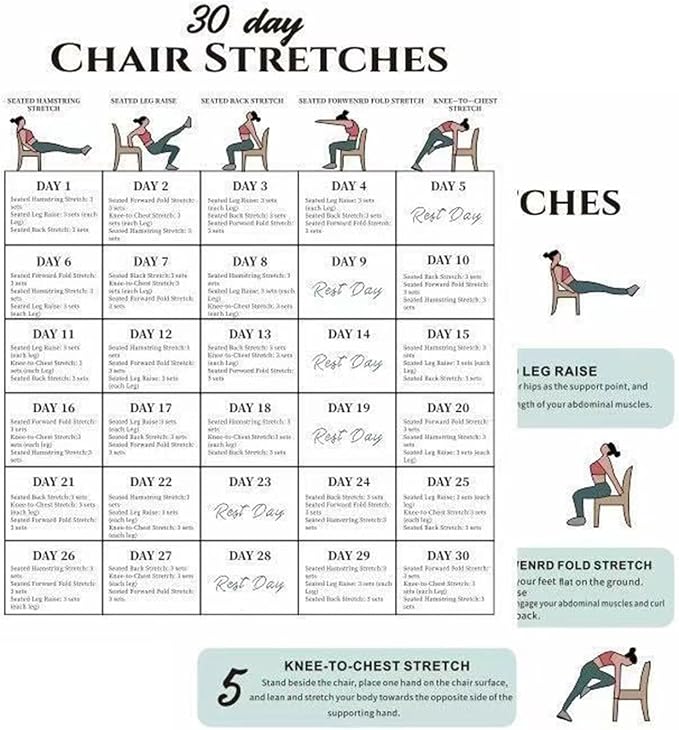 Chair Yoga Program - 30-Day Workout Set | 6-Piece Exercise Kit with Instruction Book, Ideal for Morning Routine Travel Gym Beginners Family Friends Sports Athletes Body Flexibility Strength Building