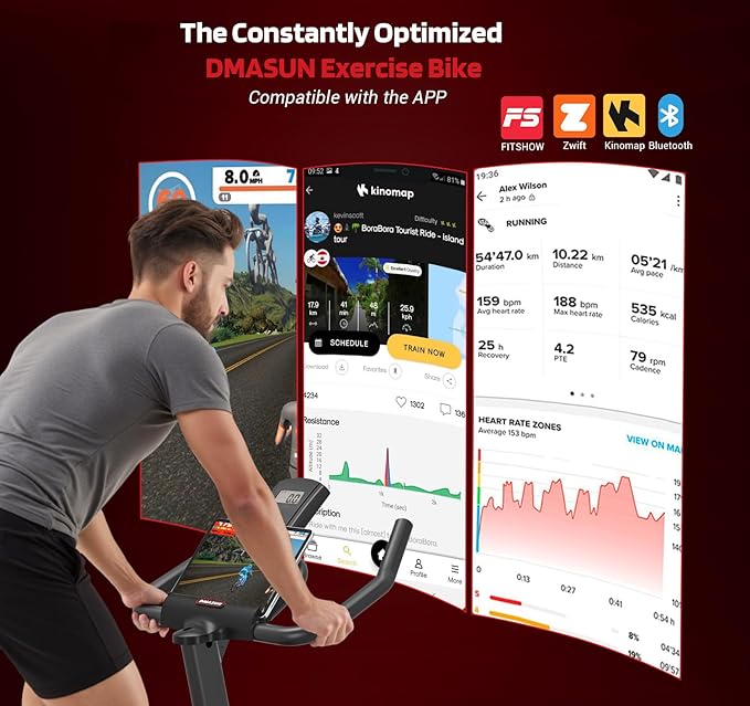 DMASUN Exercise Bike, Silent Magnetic Resistance Stationary Bike for Home with 330 LBS Capacity, Pedals with Anti-loosening Nuts, Indoor Bike with Comfortable Seat Cushion, Digital Display