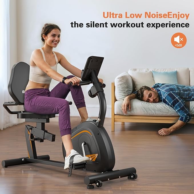 Recumbent Exercise Bike, Stationary Bikes for Home Magnetic Recumbent Bike with Adjust Seat for Adults Seniors, 300LB Capacity & 8-level Resistance, LCD Monitor and Heart Rate Handle
