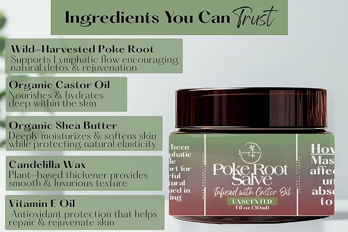 Poke Root & Castor Oil Salve - Cysts, Boils, Fibroids, Swollen Lymph Nodes, Breast & Joint - Vegan Lymphatic Support Massage Balm - Natural Deep Tissue Relief Ointment - Handmade in The USA