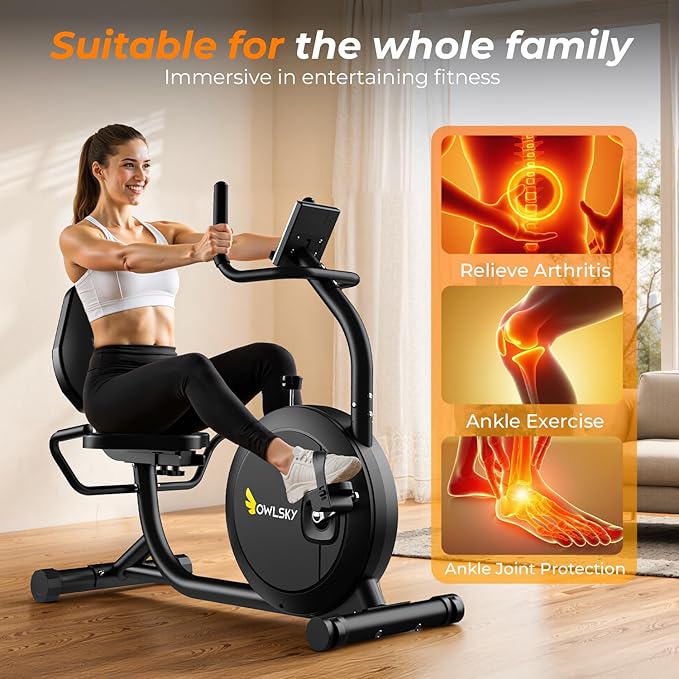 OWLSKY Recumbent Exercise Bike for Home Gym, Magnetic Stationary Bike with 16-Level Resistance, Quiet 15LBS Flywheel, 300LBS Capacity, Low-Impact Cardio & Physical Therapy
