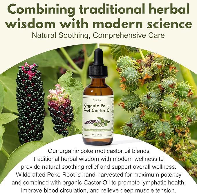 Organic Poke Root Castor Oil – 2 Fl Oz Natural Lymphatic Support Massage Oil, Soothing Relief for Cysts, Boils, Breast, Fibroids, Swollen Lymph Nodes & Joint – Deep Tissue Drops