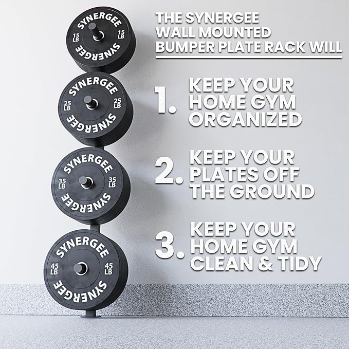 Synergee Weight Plate Storage Rack. Wall Mounted Weight Plate Holder. 4 Pegs with 1000 lb Weight Capacity Storage Rack.
