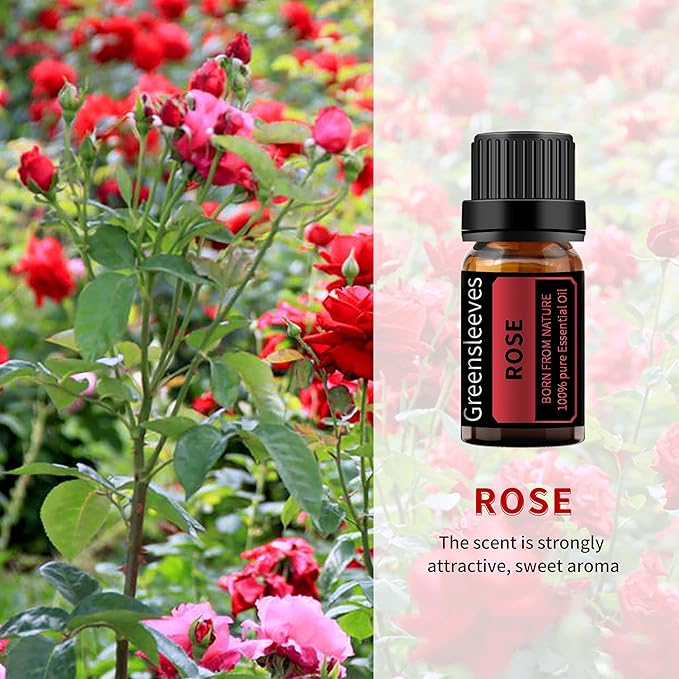 GREENSLEEVES Rose and Tea Tree Essential Oil Set, 2 x 10ml Pure Plant-Based Fragrance Oil for Aromatherapy, Essential Oils for Diffuser, Massage, Bath Bomb, Scented Candle Soap Making