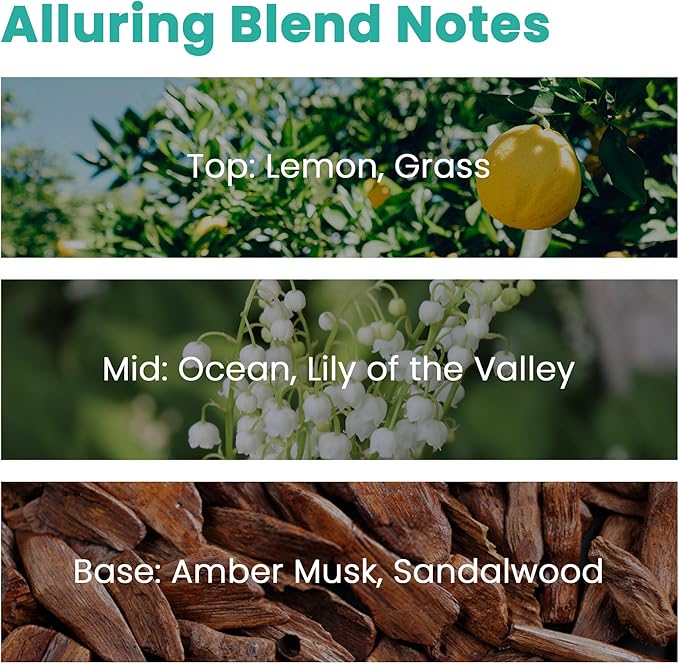 Hotel Diffuser Oil, ESSLUX Luxury Hotel Fragrance Oil Diffuser Scents IHG Signature, Inspired by The InterContinental Hotels Scents, Massage, Candle Soap Making Scents, Perfume, 30ml