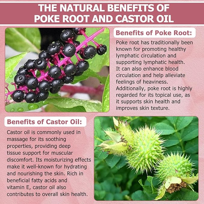 Organic Poke Root Castor Oil – 2 fl oz (60ml) Natural Lymphatic Support Massage Oil, Soothing Relief for Cysts, Boils, Breast, Fibroids, Swollen Lymph Nodes & Joint – Deep Tissue Drops