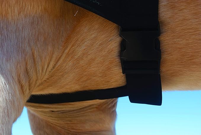 BENEFAB Therapeutic Lycra Horse Hood | Far-Infrared and Magnetic Therapy Keeping Neck & Shoulders Warm Relaxed Reduce Pain Stiffness Better Performance Recovery (Medium)