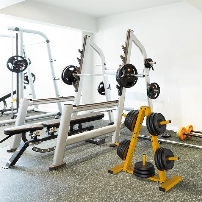 Weight Plate Rack, Weight Tree, Home Gym Storage Stand, Holds 300 lbs