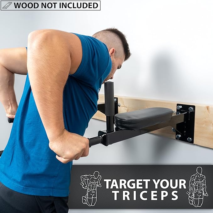 Synergee Wall Mounted Dip Station. Dip Bars for L Sits, Knee Raises, and More! Gymnastics and Upper Body Fitness Training. Max Capacity 400 LB.