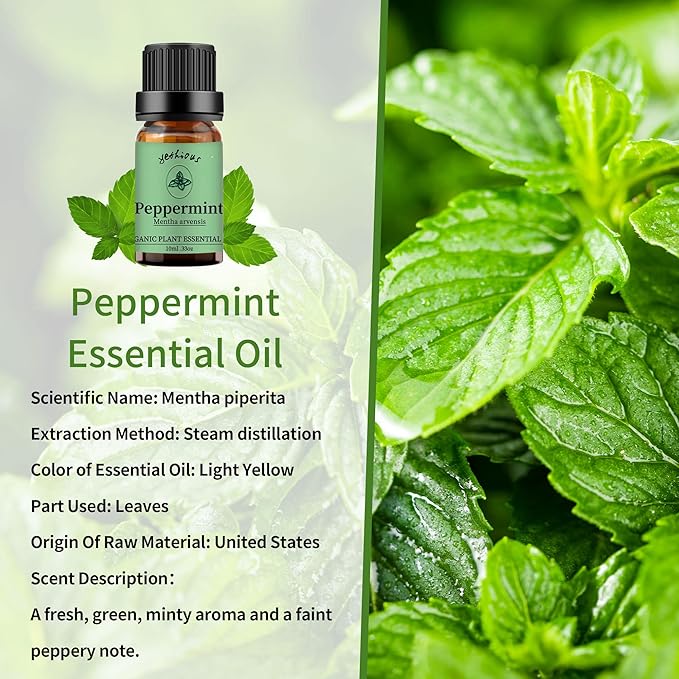 yethious Peppermint Essential Oil 10ML Pure Essential Oil for Diffuser, Fragrance, Soap Candle Making Peppermint Aromatherapy Oil