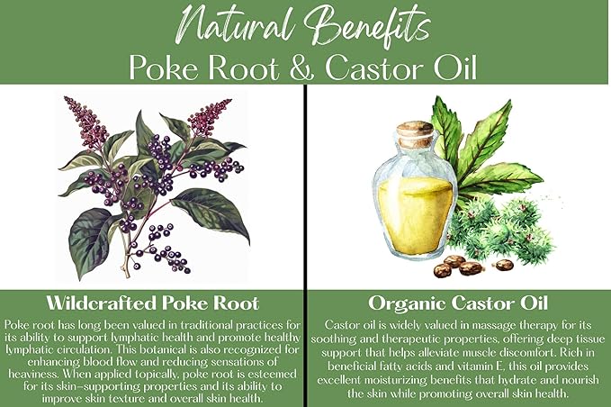 Poke Root & Castor Oil Salve - 2oz- Cysts, Boils, Fibroids, Swollen Lymph Nodes, Breast & Joint - Vegan Lymphatic Support Massage Oil - Natural Deep Tissue Relief