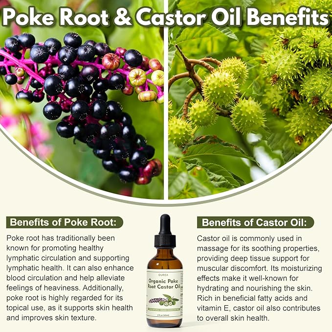 Poke Root Castor Oil Organic - 2 Fl Oz (60ML) - Lymphatic Support Massage Liquid, Natural Deep Tissue Relief Drops for Boils, Fibroids, Cysts, Swollen Lymph Nodes, Breast & Joint Health