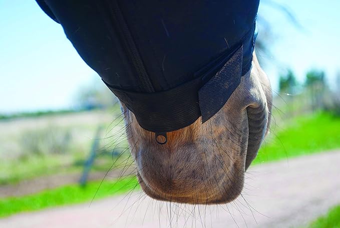 BENEFAB Therapeutic Horse Hood with Far-Infrared Powder and 27 Medical Grade Magnets | Rejuvenate SmartHood Emits Far-Infrared Rays Keeping Neck & Shoulders Warm, Relaxed, Reduce Pain & Stiffness