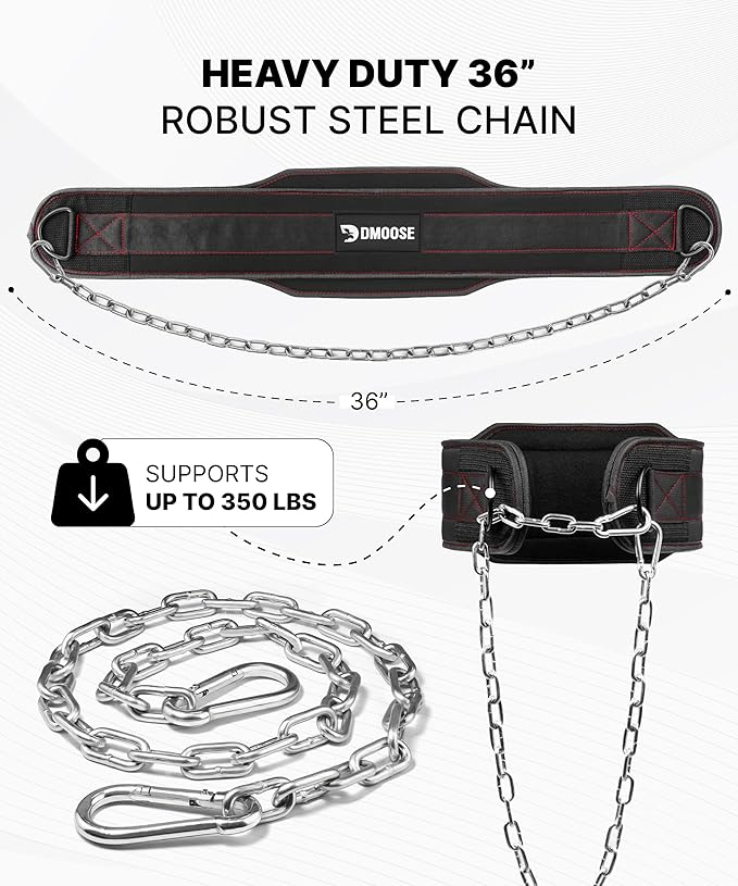 DMoose Fitness Dip Belt for Weight Lifting, Pullup, Squats & Dips - 36" Robust Steel Chain, Comfortable Neoprene Padding Supports 350lbs - Gym Weight Belt for Strength Training Workout & Weightlifting