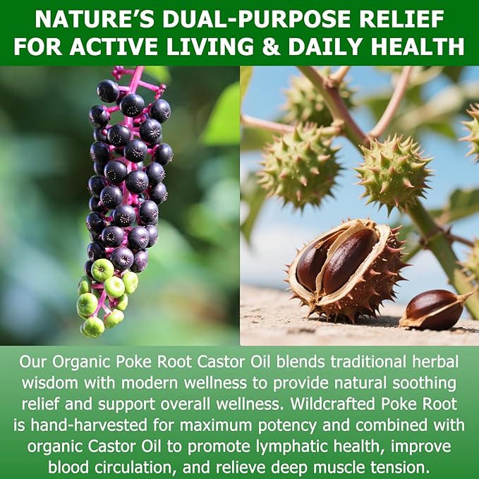 Organic Poke Root Castor Oil, Natural Lymphatic Support Massage Oil, Soothing Relief for Cysts, Boils, Breast, Fibroids, Swollen Lymph Nodes & Joint, Deep Tissue Drops – 2 Fl Oz, Citrus Spark
