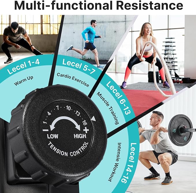 Recumbent Exercise Bike for Home, Quiet & Low-Impact Stationary Bike for Seniors & Adults, 16-Level Resistance, Adjustable Seat & LCD Monitor