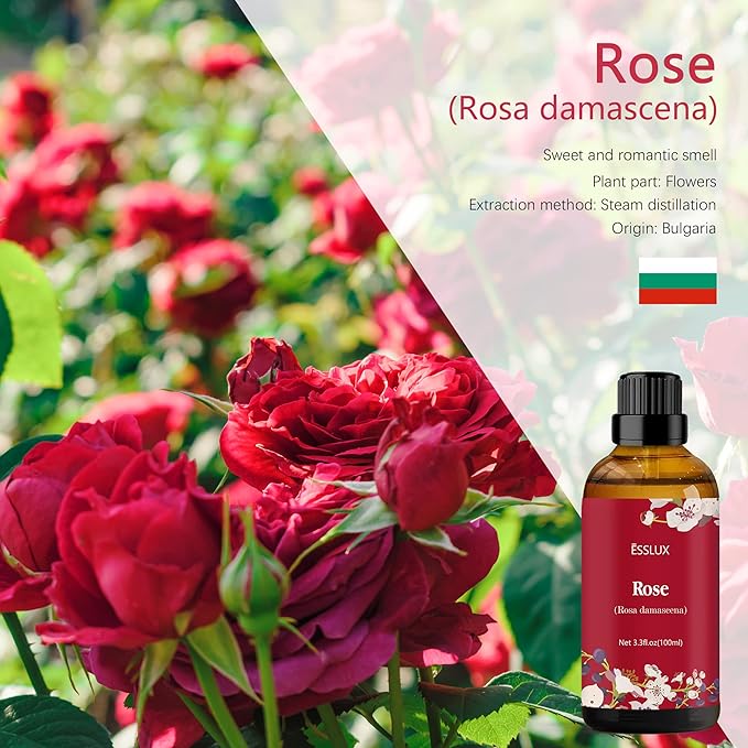 Rose Essential Oil 100ml, ESSLUX Aromatherapy Essential Oils for Diffuser, Massage, Soap, Candle Making, Home Fragrance