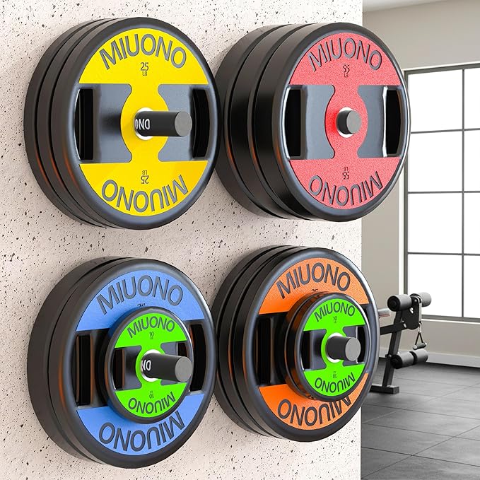 Weight Plate Holder, Wall Mounted Weight Rack Storage for Weight Plates, Home Gym Organizer