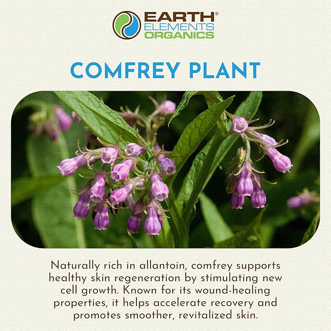 Comfrey Oil Raw with Sunflower Oil, Infused Herbal Body Oil, Sore Muscles, Aches, Organic Skincare for All Skin Types - 4 fl oz